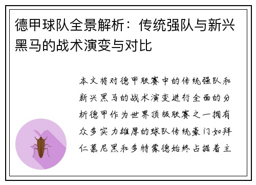 德甲球队全景解析：传统强队与新兴黑马的战术演变与对比